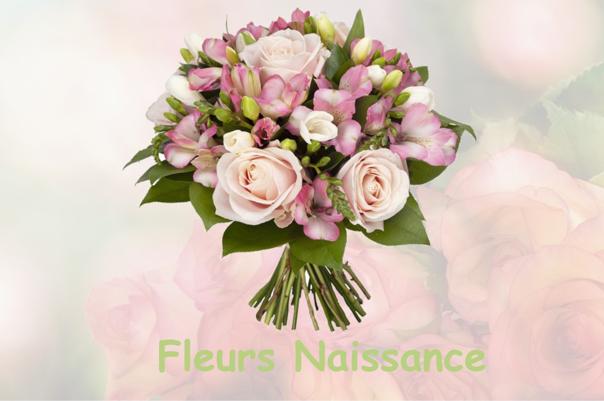 fleurs naissance FRESNEAUX-MONTCHEVREUIL